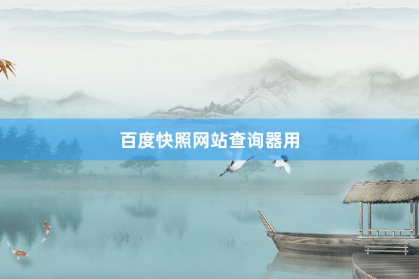 百度快照网站查询器用