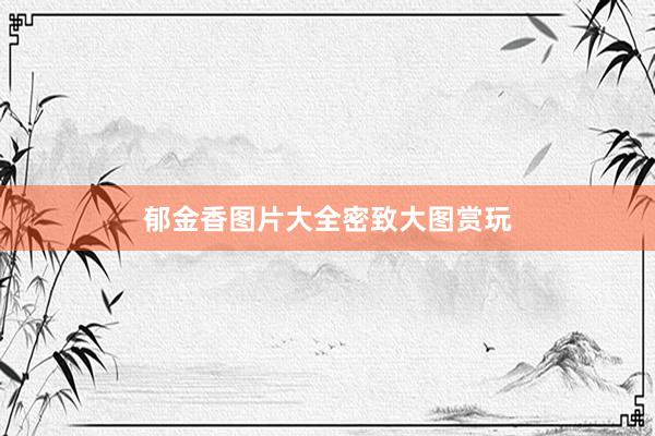 郁金香图片大全密致大图赏玩
