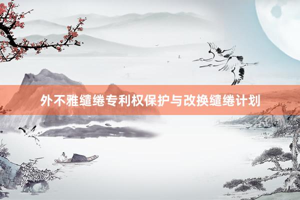 外不雅缱绻专利权保护与改换缱绻计划